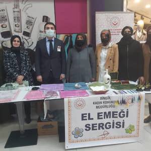 25 Kasım Kadına Yönelik Şiddete Karşı Uluslararası Mücadele Günü Etkinlikleri - fotoğraf 1