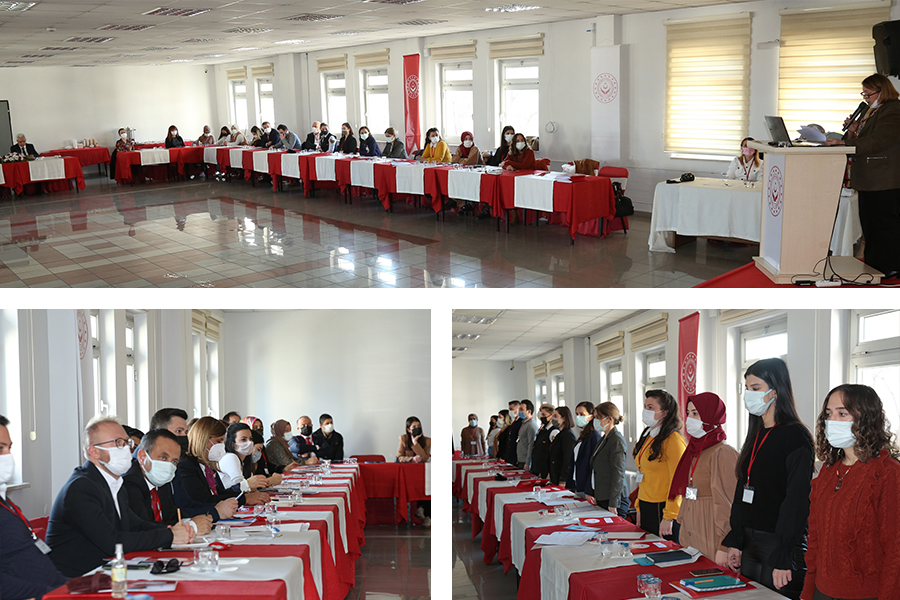 Kadına Yönelik Şiddetle Mücadele İl Eylem Planı Çalıştayı Düzenleniyor