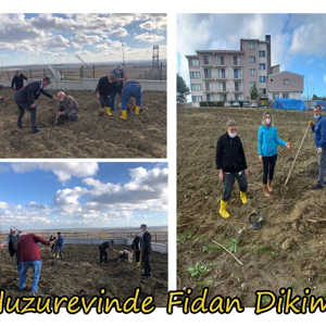 Yaşlılarımız ile Birlikte Fidan Dikimi - fotoğraf 1