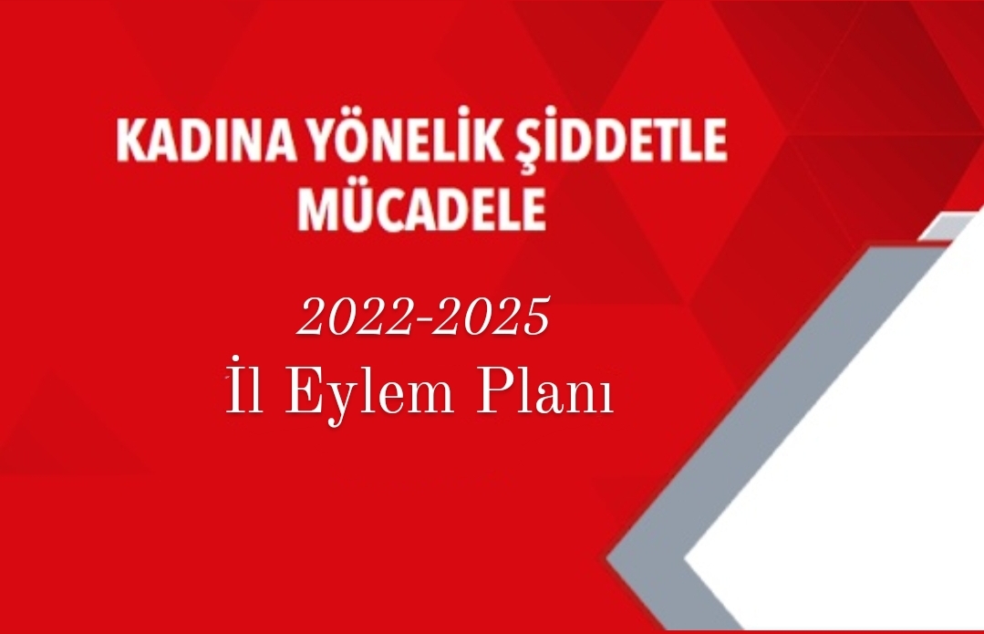 2022-2025 Kadına Yönelik Şiddetle Mücadele İl Eylem Planı