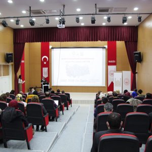 Kadına Yönelik Şiddetle Mücadele IV. Ulusal İl Eylem Planı Çalıştayı - fotoğraf 2