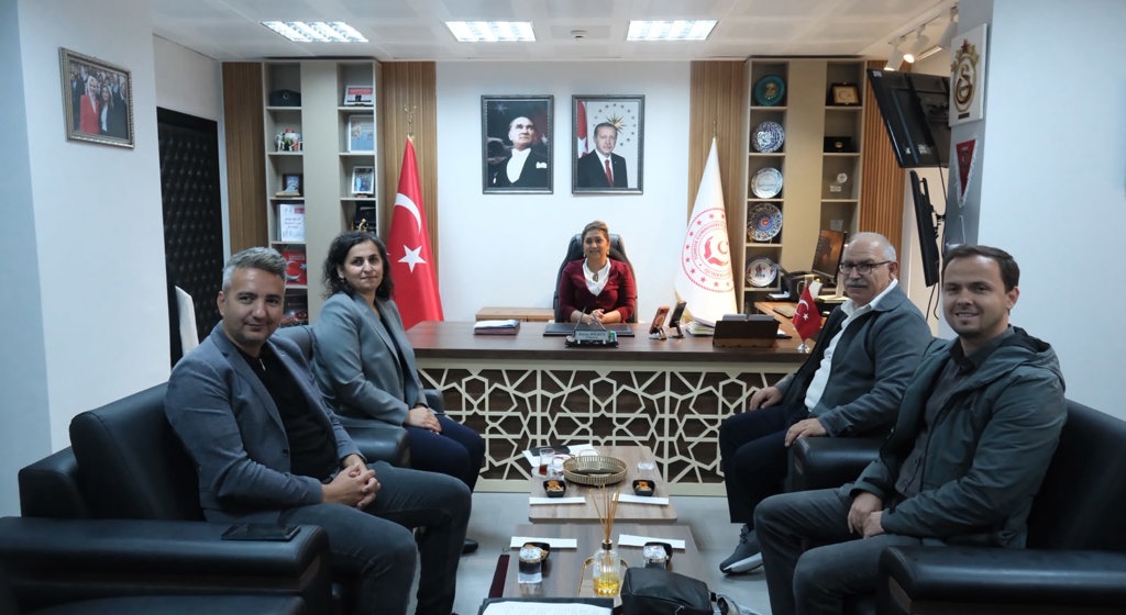 BALIKESİR’DE YAŞLI BAKIM HİZMETLERİNE YÖNELİK DEĞERLENDİRME