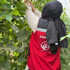 Dünya Kadın Çiftçiler Günü Kutlu Olsun! - fotoğraf 3